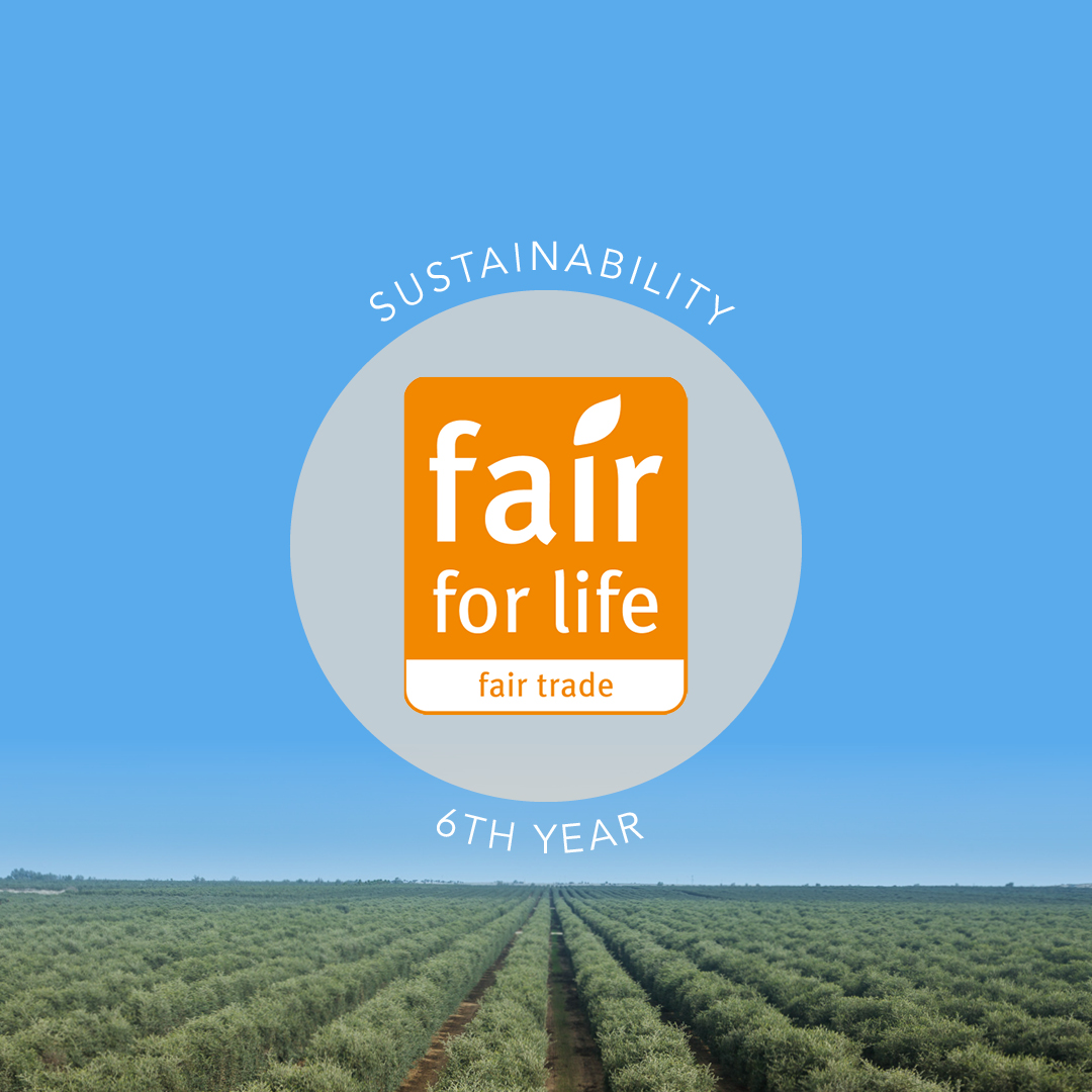 JD-Fair-for-Life-2026